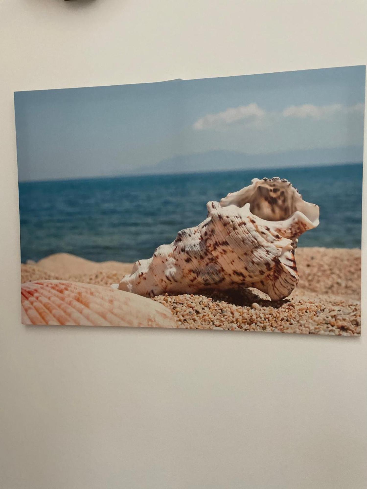 Case Vacanza Trappetodavivere Трапето Екстериор снимка